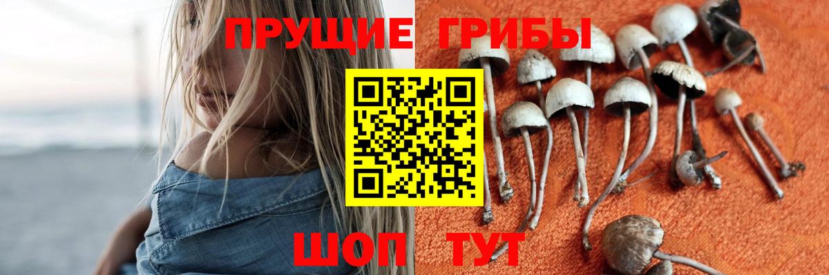 Галлюциногенные грибы GOLDEN TEACHER Уссурийск
